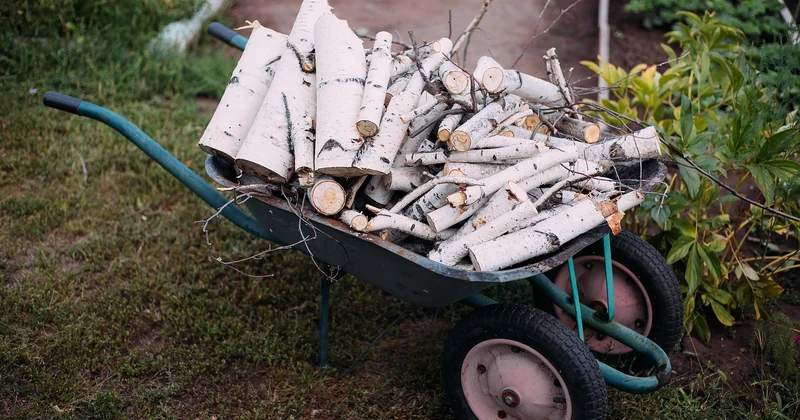 Concevoir le potager pour éviter les attaques, pas les subir