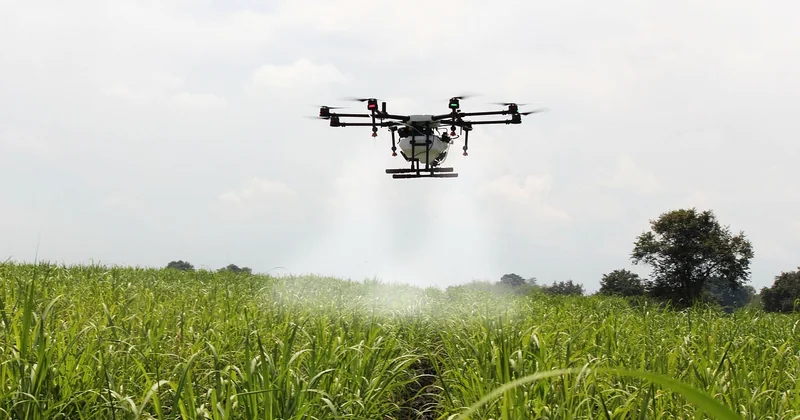 Efficacité : que valent les drones face aux pulvérisateurs terrestres ?