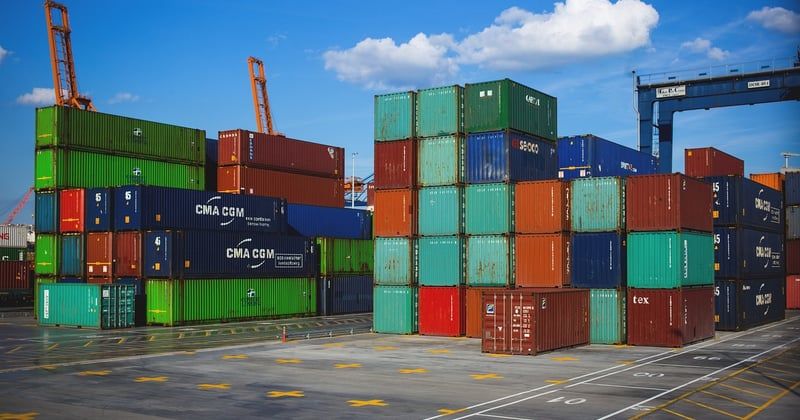 Défis juridiques dans l’exportation d’insecticides : ce que tout exportateur doit savoir