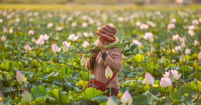 Quelles actions pour sensibiliser aux droits des femmes dans l'agriculture ?