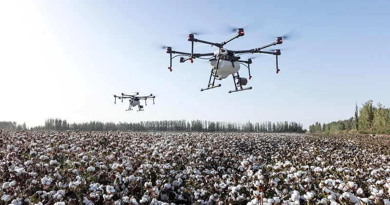 Drones et pièges connectés : la précision avant le volume