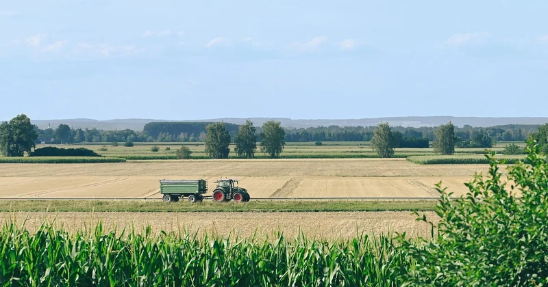 Sauvegarde, redressement, liquidation : ce qui change pour un agriculteur